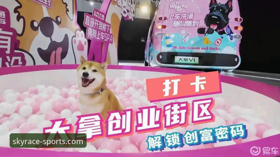 天行体育APP官方正版下载与安装操作教程（2026新版）